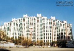 精品工程  /  总承包项目_利来集团官网有限公司-衡宇修建工程总承包|全装修品牌向导者|国家住宅工业化基地